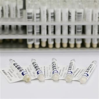 BNCC186382白假丝酵母-BNCC菌株