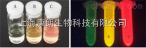 Southern级动物DNAOUT