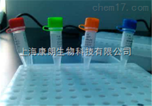 非酶DNA清除剂