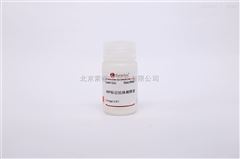A1820北京索莱宝自产免疫组化试剂 HRP标记抗体稀释液