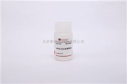 A1820北京索萊寶自產(chǎn)免疫組化試劑 HRP標(biāo)記抗體稀釋液