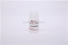 A1840免疫组化试剂 荧光抗体稀释液