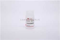 A1840免疫組化試劑 熒光抗體稀釋液