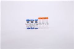 PR1900預染超低分子量蛋白質Marker（3.3kD-31.0kD）