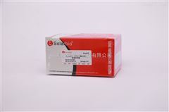 QL0010基因工程試劑 快速連接試劑盒