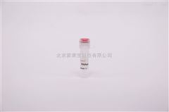 SR0060液相 RNase  清除劑