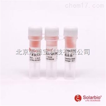 SA240兔抗豚鼠IgG（免疫血清）