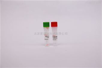CA1410細胞培養(yǎng)試劑 活性氧檢測試劑盒