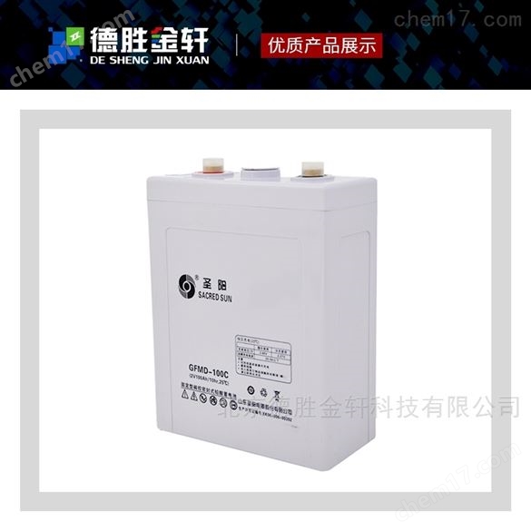 圣陽賽耐克動力蓄電池6-EV-100電動道路車用