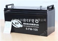 原裝商宇蓄電池批發(fā)零售商