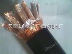 高溫電纜DJFPF 3*2*1.5耐高溫計(jì)算機(jī)電纜DJFPF