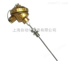 WREK-1325多對式鎧裝熱電偶上海自動化儀表三廠